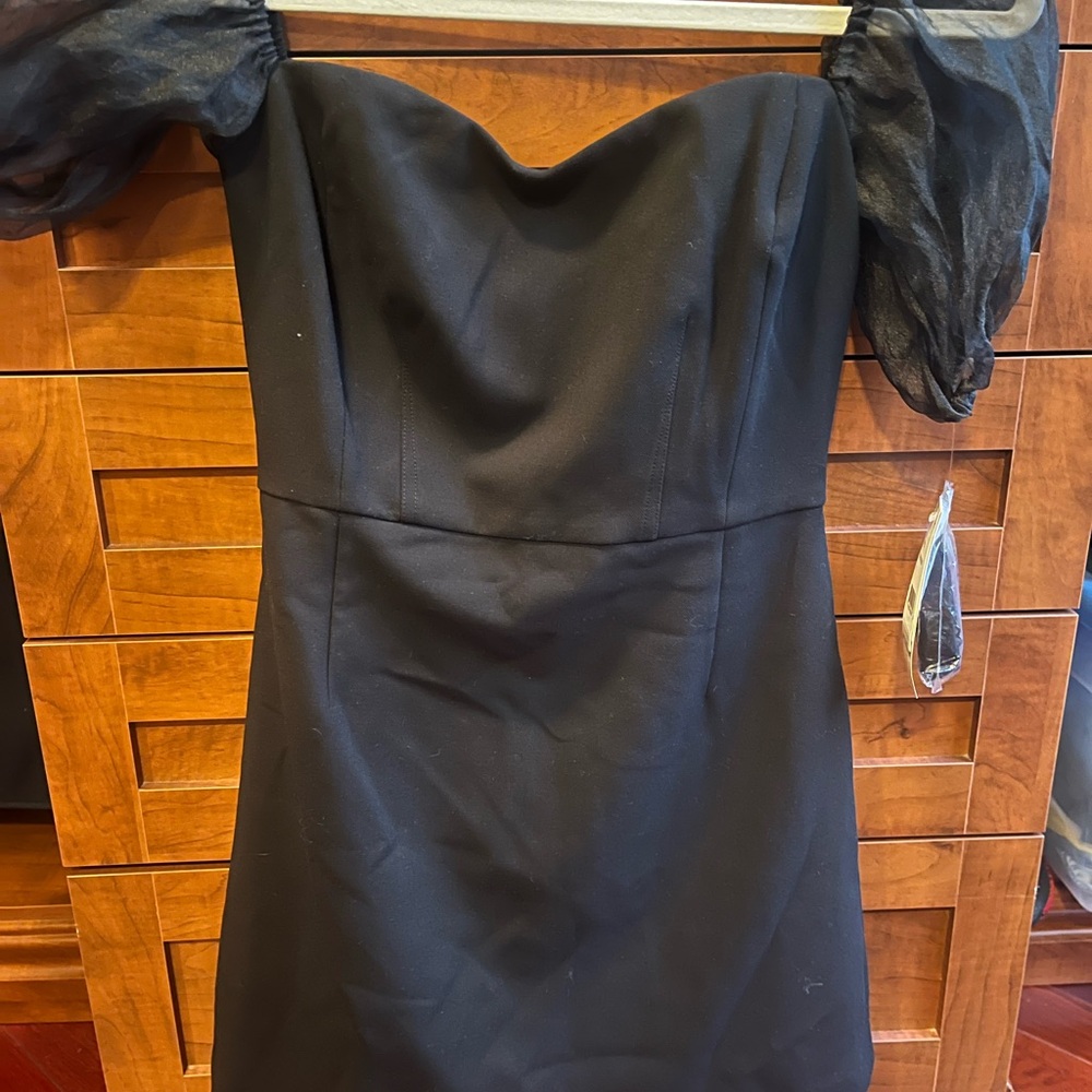 Elegant Black Dress with Sheer Sleeves